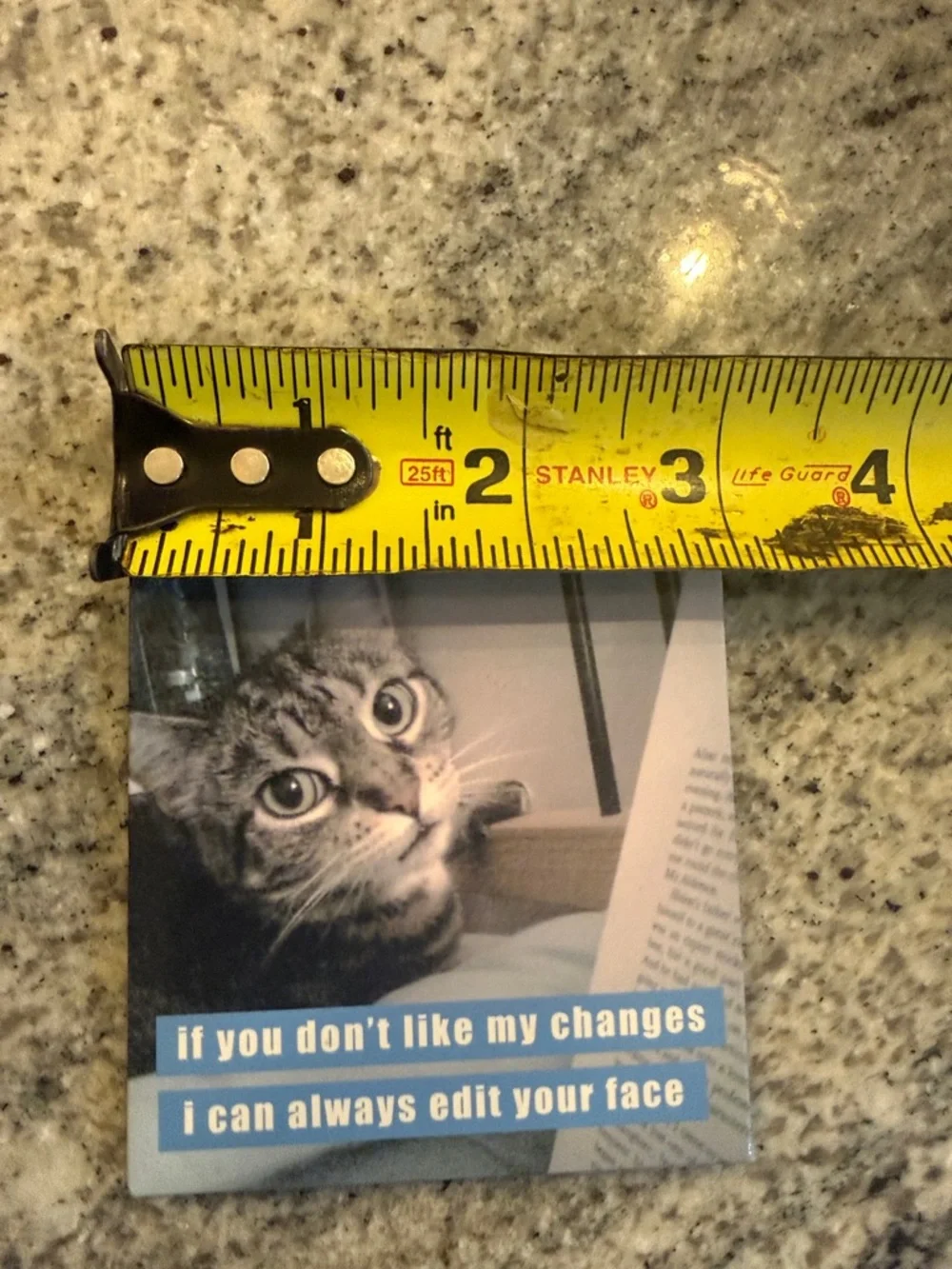 Gray Tabby Cat Magnet with Blue Caption - Whimsical Pet Accessory